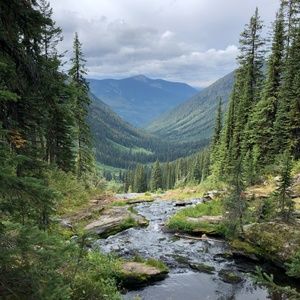 Meet your Posher, Ron